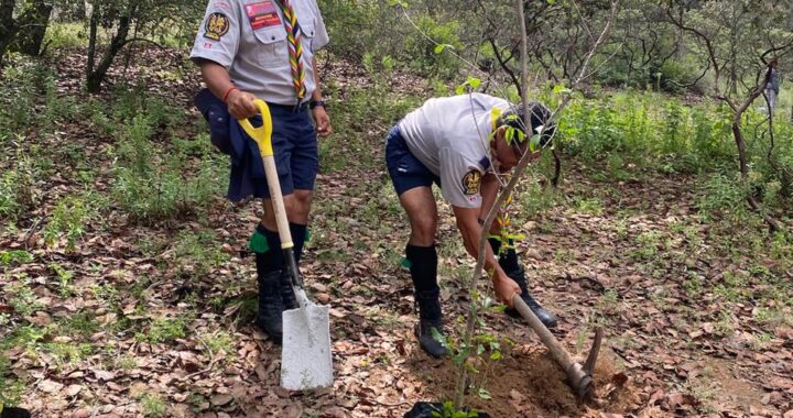 Realizan jornada de reforestación y limpieza en la presa El Peralillo