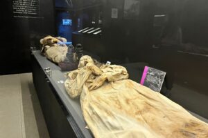 Realizan estudios en Momias de Guanajuato, para contar con la museografía
