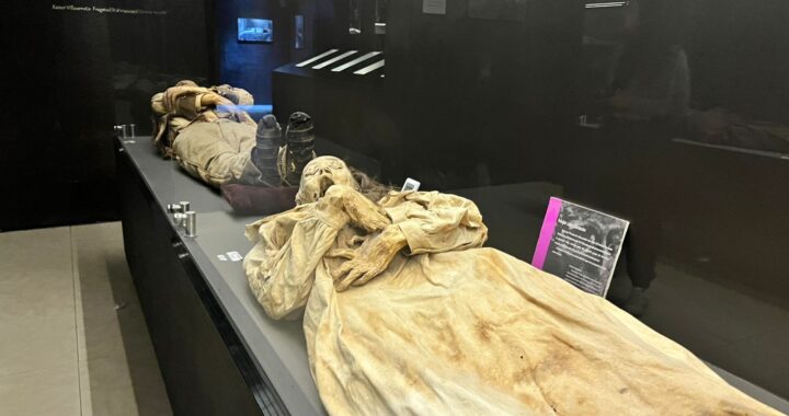 Realizan estudios en Momias de Guanajuato, para contar con la museografía
