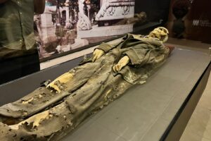 Entablan reuniones autoridad de los tres órdenes de gobierno, para remodelación del MUMO