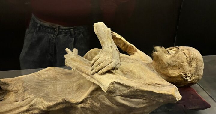 Viajarán réplicas de las momias de Guanajuato, a Real de Catorce y San Diego, California