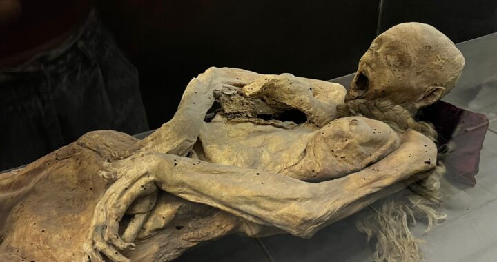 Hay que devolver la dignidad a las momias