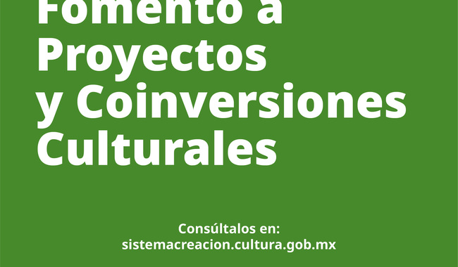 EL SISTEMA CREACIÓN ANUNCIA LOS RESULTADOS DE LA CONVOCATORIA “FOMENTO A PROYECTOS Y COINVERSIONES CULTURALES 2024”