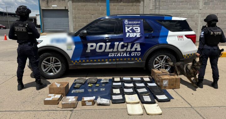 Frustra oficial canino Oxi envío de drogas y equipo balístico en paquetería de León
