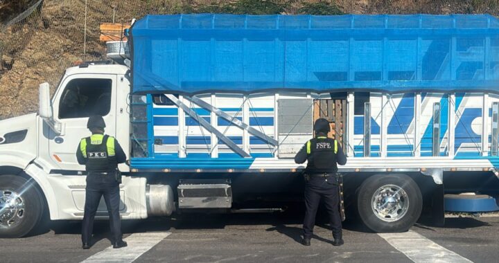 Recupera camión Torton robado con 12 toneladas de tomates en Silao