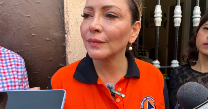 La seguridad es la prioridad y no hay necesidad de entregarla al estado: Smith