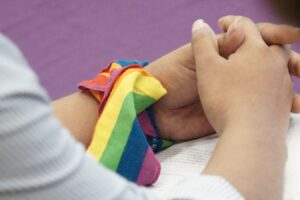 Sanciones a ECOSIG y matrimonio igualitario van a Pleno