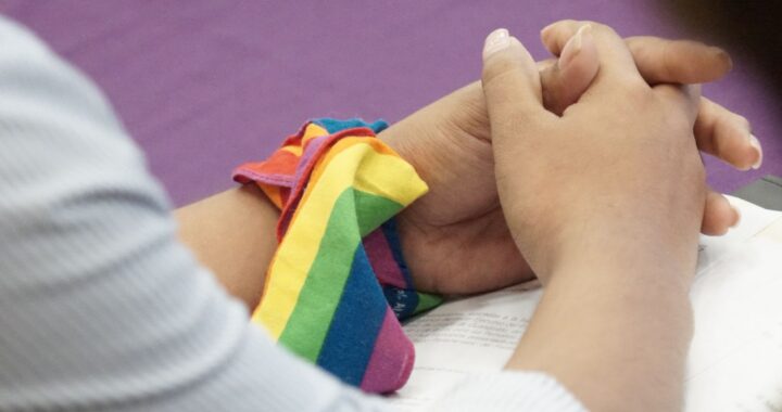 Sanciones a ECOSIG y matrimonio igualitario van a Pleno