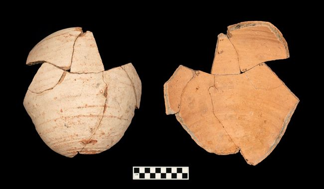 ANALIZAN RESIDUOS ORGÁNICOS EN BOTIJAS RECUPERADAS EN EL CENTRO HISTÓRICO DE LA CIUDAD DE MÉXICO