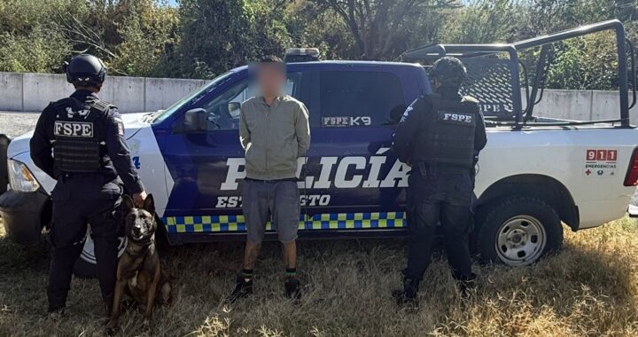 Detecta oficial canino Orkan a presunto distribuidor de drogas con más de 420 dosis en León