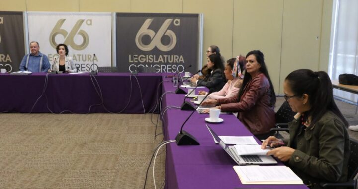 Solicitan colectivos animalistas combatir venta de mascotas por internet