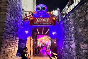 No hay plan B para la calle subterránea, en caso de lluvia durante el festival de muertos