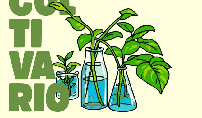 INTERCAMBIO DE SABERES Y REFLEXIONES EN CULTIVARIO ENCUENTRO SOBRE PROGRAMACIÓN CULTURAL PARA CONSTRUIR ENTORNOS DE PAZ EN CLAVE COMUNITARIA