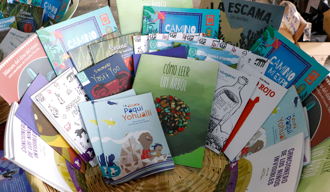 COEDITAN SEP Y CULTURA 19 TÍTULOS DE LITERATURA INFANTIL Y JUVENIL PARA FOMENTAR LA LECTURA Y PRESERVAR LAS LENGUAS INDÍGENAS DEL PAÍS