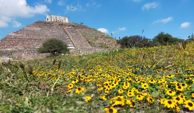 LA ZONA ARQUEOLÓGICA EL CERRITO RECIBIRÁ LA CERTIFICACIÓN SELLO DE BIODIVERSIDAD QUERÉTARO