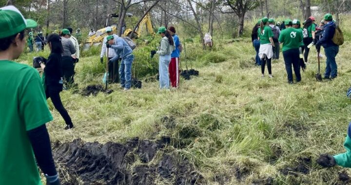 UG impulsa la conservación ambiental con el Vivero de Propagación de Árboles Nativos