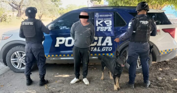 Agente canino ‘Gaby’ de FSPE detecta a hombre con más de mil dosis de droga en León