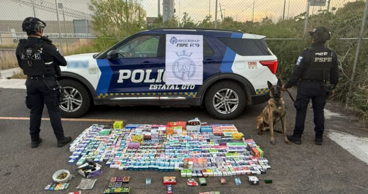 Detecta agente canino Momo más de 700 vapeadores y marihuana en paquetería de Salamanca