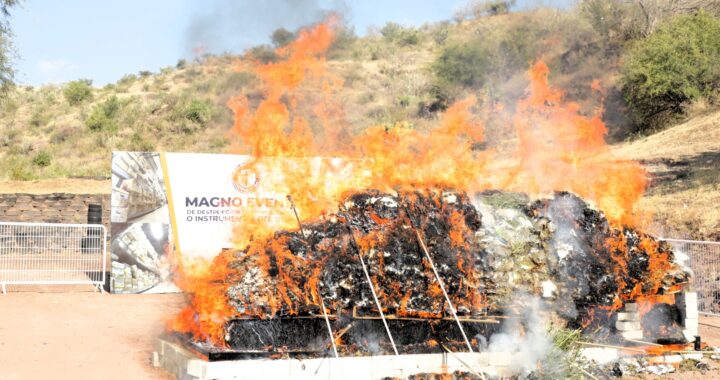 Destruyen más de un millón de dosis de drogas en Guanajuato