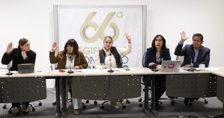 Aprueban por mayoría un dictamen en positivo para combatir las ECOSIG