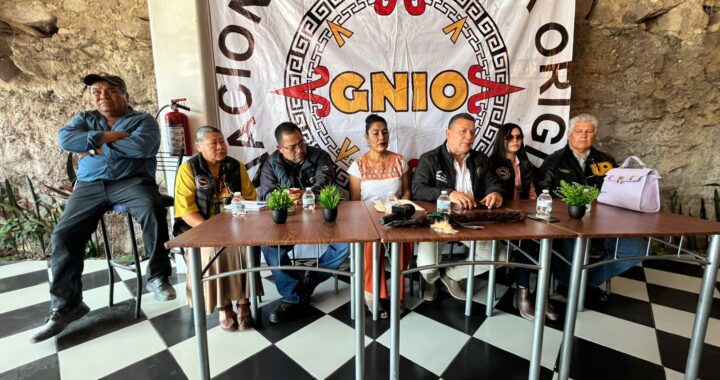 Vamos por el Congreso de Guanajuato para estar realmente representados: GNIO