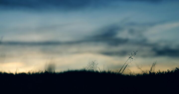 Meteorólogo UG anticipa escasa probabilidad de heladas esta semana, pero habrá aumento de vientos