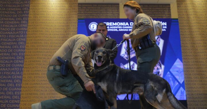 ¡Servicio cumplido! despiden a agentes caninos retirados y llegan nuevos elementos