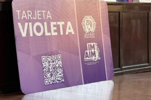 Hasta finales de año, entregarían las tarjetas violeta en la capital