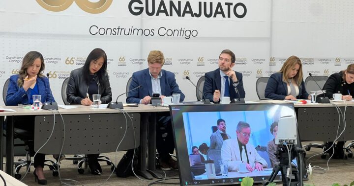 Dolores Hidalgo pretendía cobrar por usar botargas; Congreso lo echó para atrás