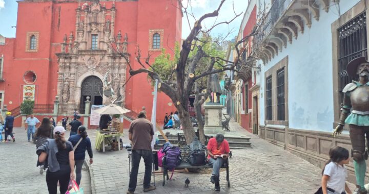 Realizan saneamiento y rescate de árbol frente a Museo Iconográfico del Quijote