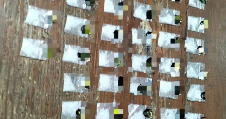 Detienen a presunto narcomenudista durante el Operativo Guadalupe–Reyes en San José de Cervera