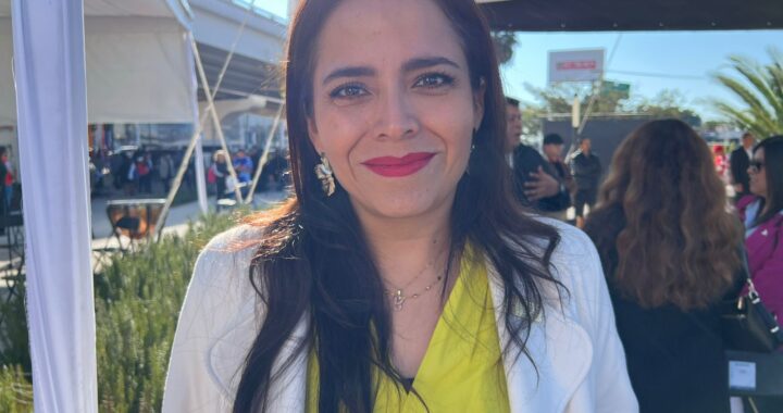 Partidos políticos deben tener mayor responsabilidad en la inclusión de grupos prioritarios