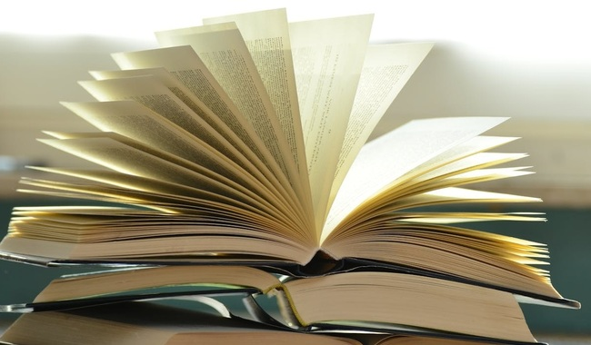 LOS PREMIOS BELLAS ARTES DE LITERATURA LLEGAN A COMUNIDADES DE TODO EL PAÍS A TRAVÉS DE TERRITORIO DE PALABRAS