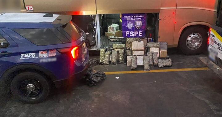 Asegura Policía Estatal de Caminos más de 38 mil dosis de marihuana en Salamanca