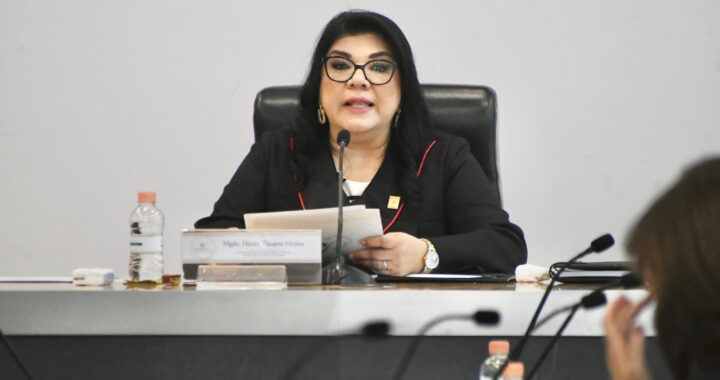 Vamos a trabajar de la mano con otros órganos para celebrar una elección judicial adecuada