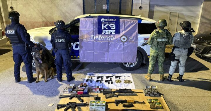 Frustra Unidad Canina K9 envío de 15 armas en paquetería de Salamanca