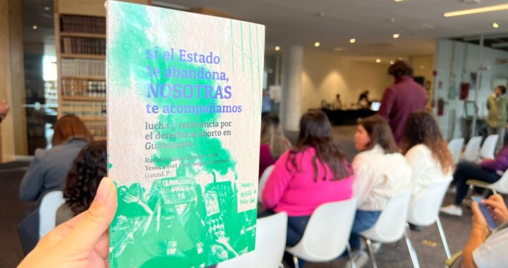 Más de 500 mujeres han decidido abortar fuera de Guanajuato desde el 2017