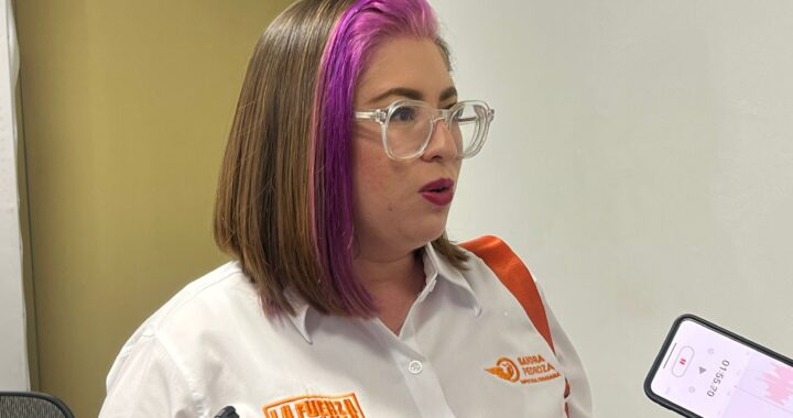 Trabajarán por tipificar el matrimonio infantil en Guanajuato