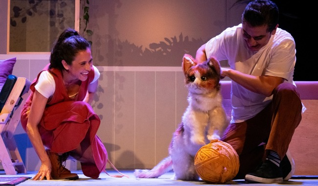 CATI, CATALINA, CALICÓ… O LA MARAVILLOSA VIDA DE LA NIÑA GATO: UNA CELEBRACIÓN DE LOS VÍNCULOS INESPERADOS