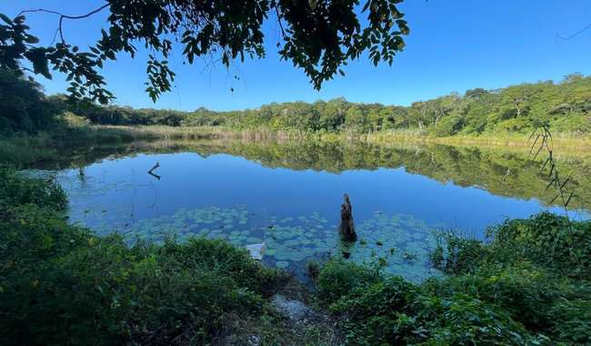 AVANZA EL RECONOCIMIENTO DE X’BAATÚN, SITIO MAYA AL INTERIOR DEL PARQUE OXWATZ, EN YUCATÁN