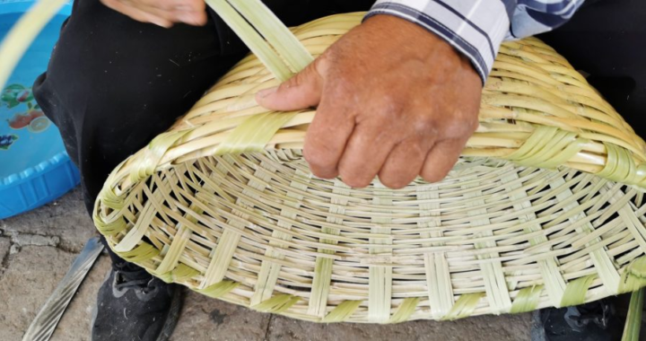 La SCG federal y la Secretaría de Cultura de Guanajuato del Gobierno de la Gente lanzan la convocatoria PACMyC Guanajuato 2026