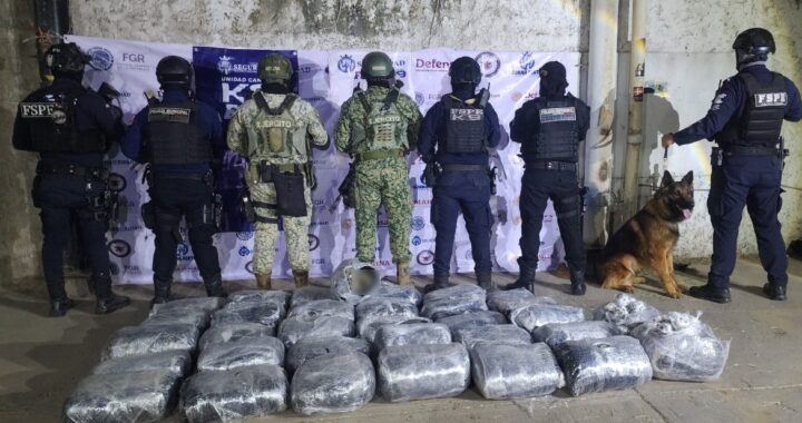 Asegura Unidad K9 más de 126 mil dosis de drogas en Irapuato