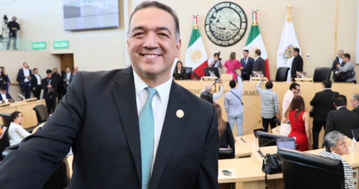 Va Verde por candidaturas libres de maltrato animal