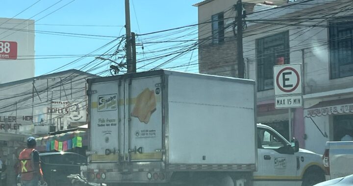 Proponen sanciones contra el mal manejo de la carne