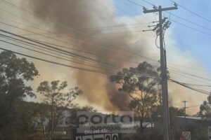 Atienden dependencias de emergencia ocho incendios de pastizal en menos de 12 horas