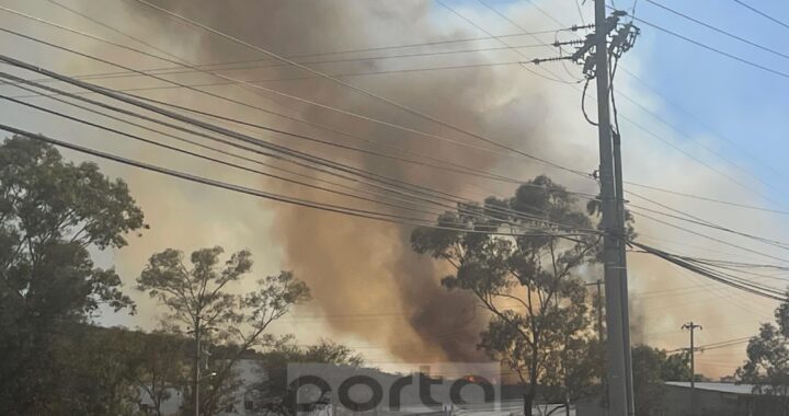 Atienden dependencias de emergencia ocho incendios de pastizal en menos de 12 horas