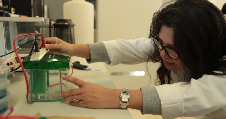 Mujer y niña en la ciencia: Investigadora UG propone alternativas para el control biológico de plagas