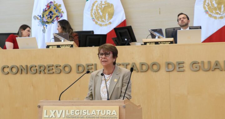 Pide diputada proteger la cerámica guanajuatense