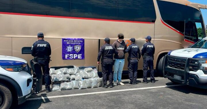 Aseguran más de 23 mil dosis de droga en autobús y detienen a un hombre en la carretera Morelia-Valtierrilla
