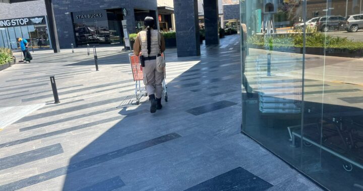 Seguridad Privada en Guanajuato y su apoyo a la seguridad pública